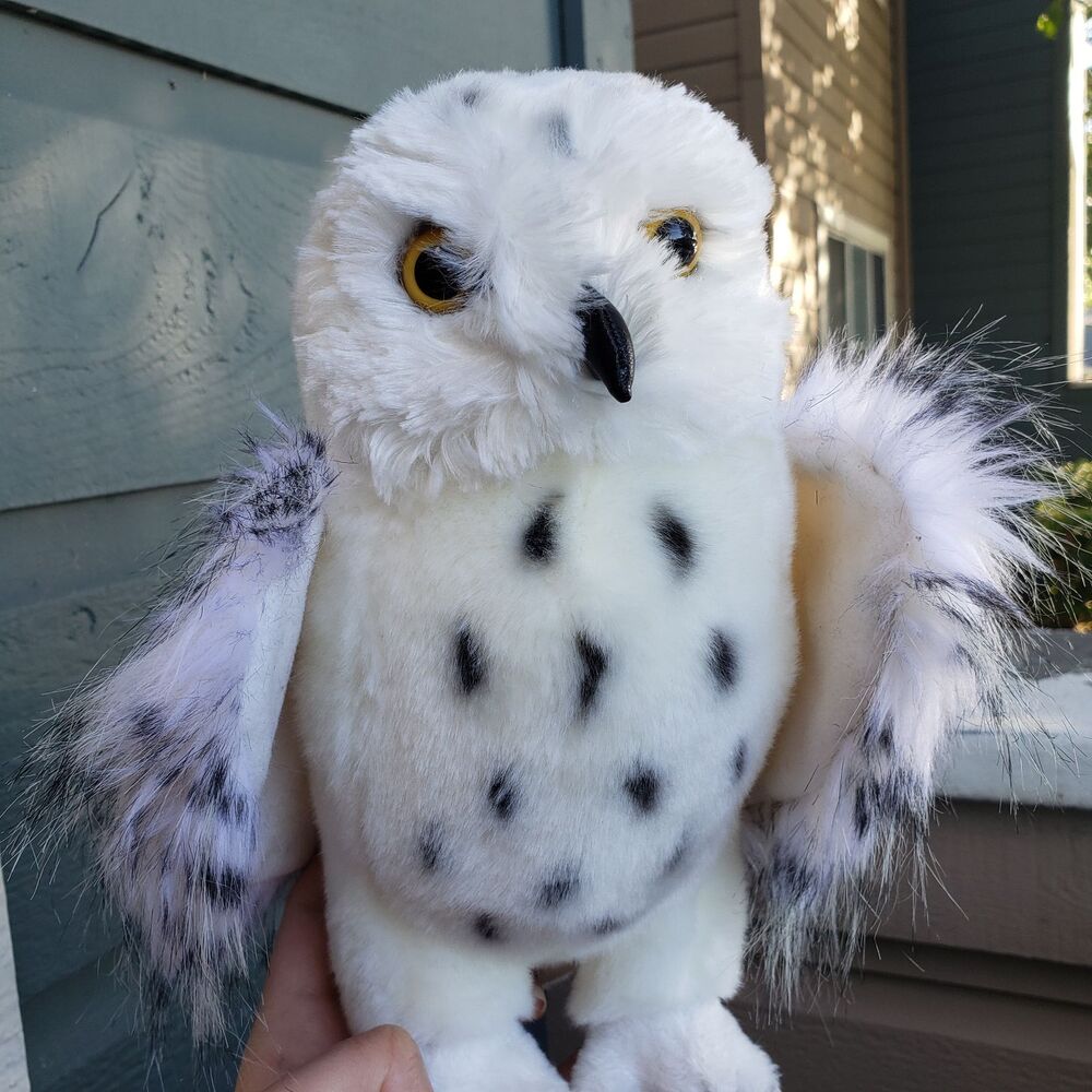 White Owl Douglas